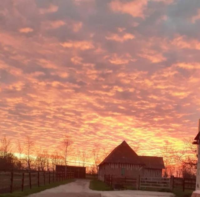 B&B Haras De La Cour Fleury Saint-Michel-de-Livet Екстер'єр фото