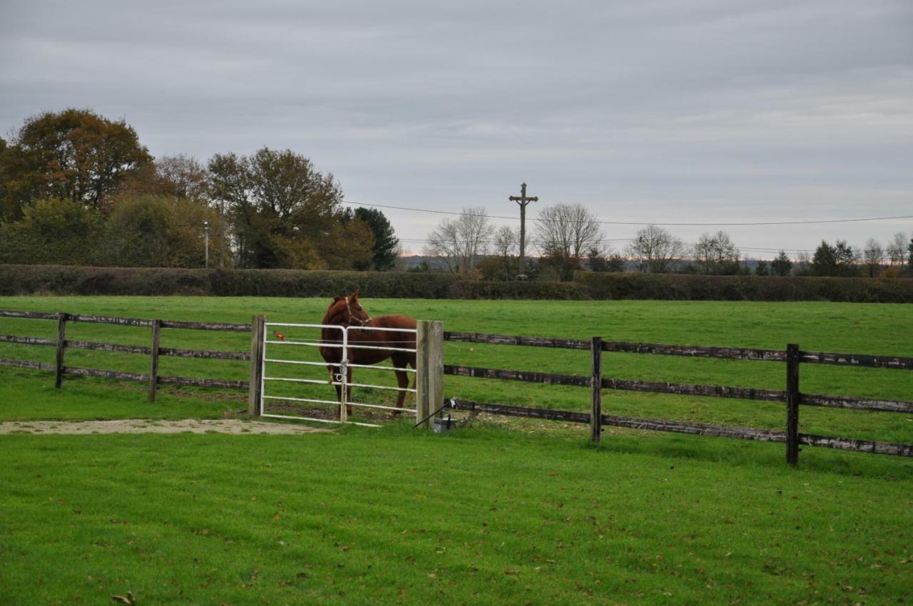 B&B Haras De La Cour Fleury Saint-Michel-de-Livet Екстер'єр фото