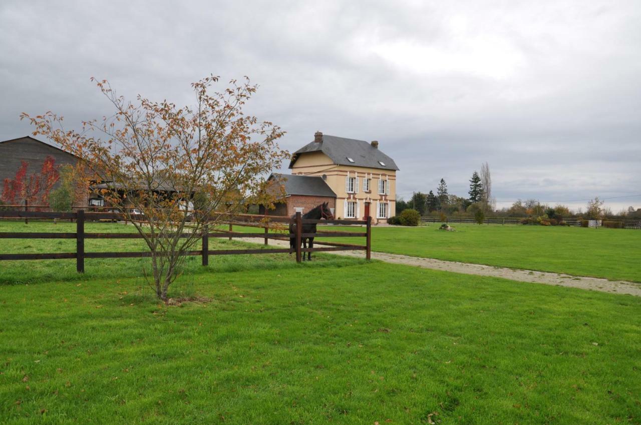 B&B Haras De La Cour Fleury Saint-Michel-de-Livet Екстер'єр фото