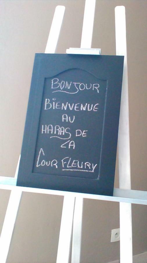 B&B Haras De La Cour Fleury Saint-Michel-de-Livet Екстер'єр фото
