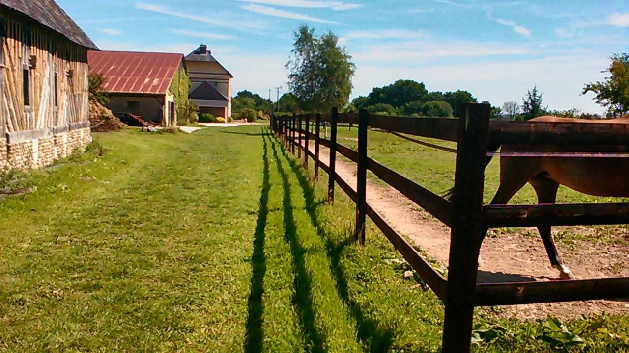 B&B Haras De La Cour Fleury Saint-Michel-de-Livet Екстер'єр фото
